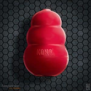 The Kong Classic