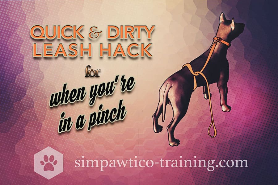 Quick & Dirty Leash Hack When You’re In a Pinch