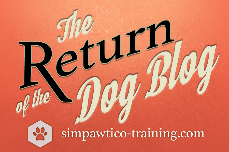 Return of the Dog ‘Blog