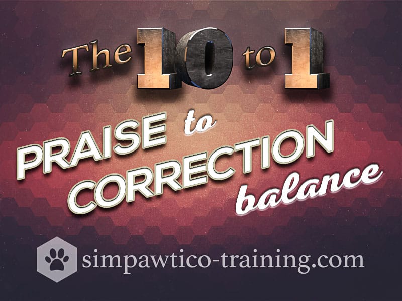 Talking to Your Dog: the 10 to 1 Dog Training Praise Balance