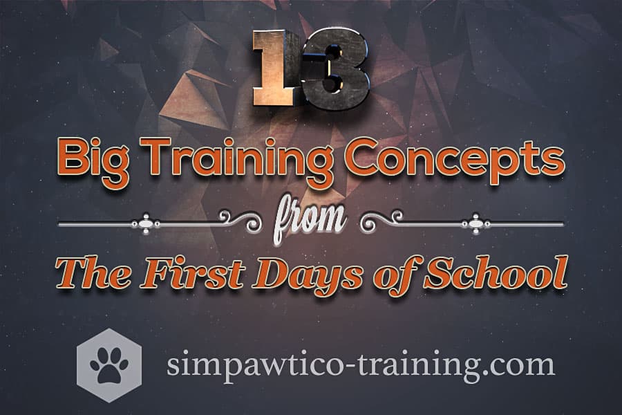 13 Big Dog Training Concepts from The First Days of School