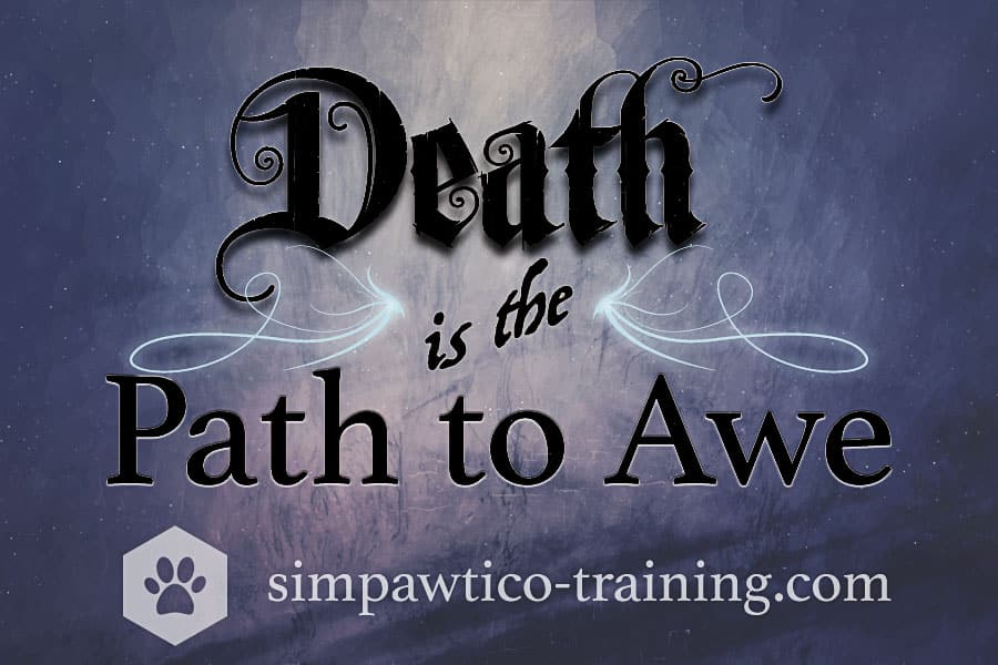 Death is the Path to Awe
