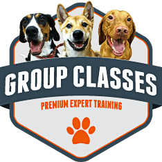 small badge graphic for group classes