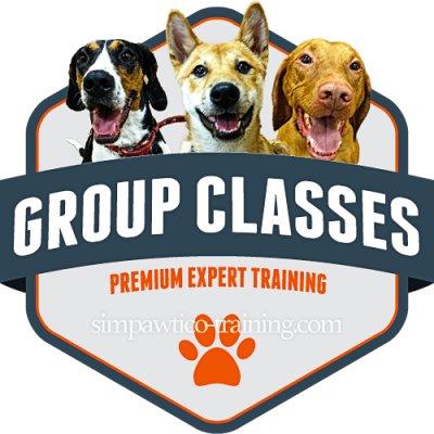 large badge graphic for group classes