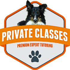 small badge graphic for private classes