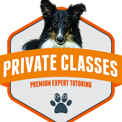 large badge graphic for private classes