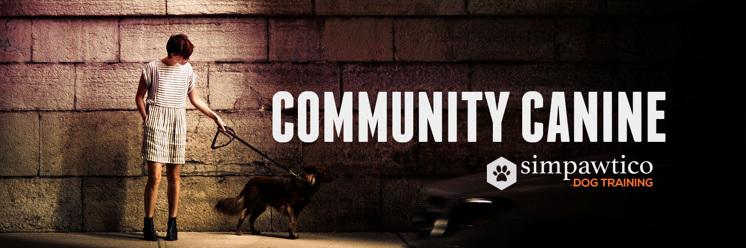 banner image for community canine class