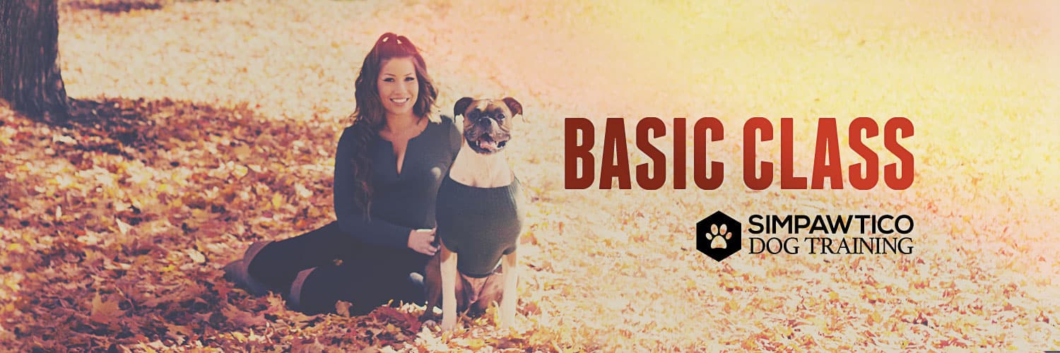 banner image for Basic Class