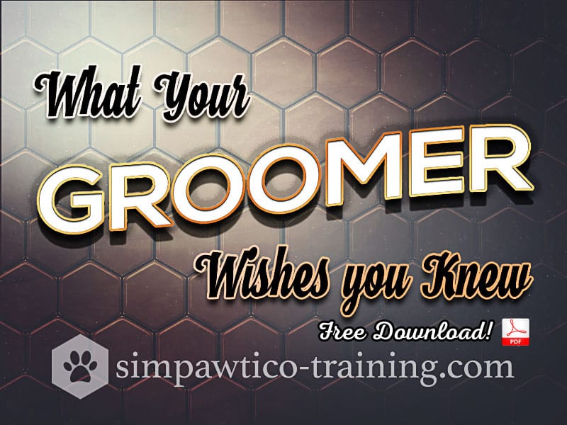 What Your Dog Groomer Wishes You Knew about Trimming Dog Nails