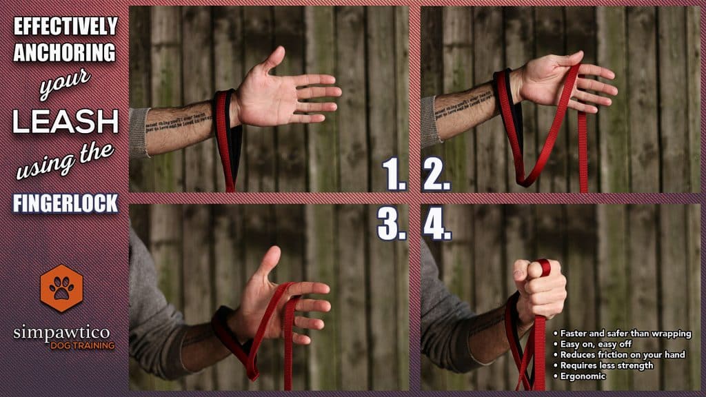 Graphic on how to anchor a leash effectively in your hand for walking a dog