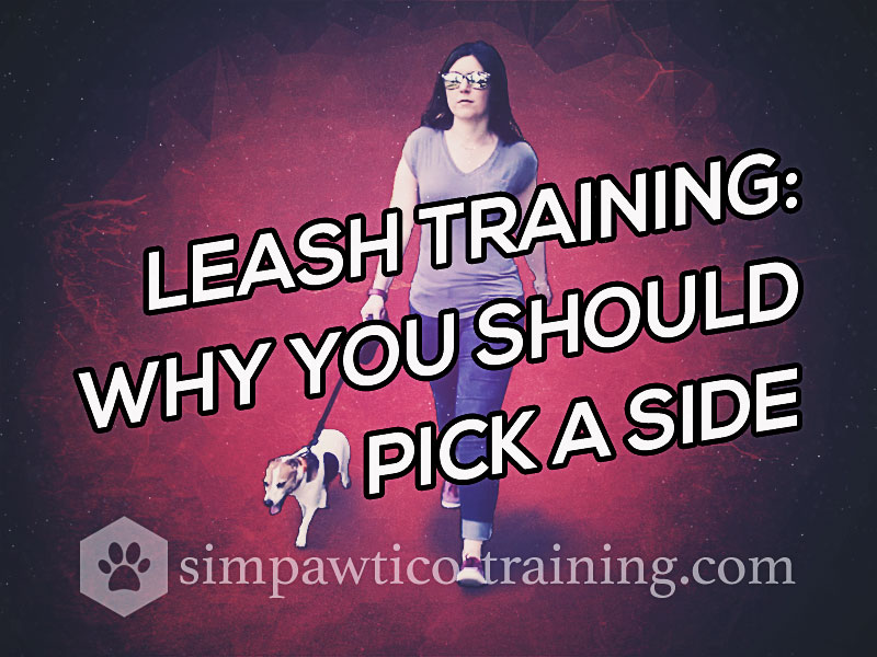 Leash Training a Dog – Why You Should Stay on One Side