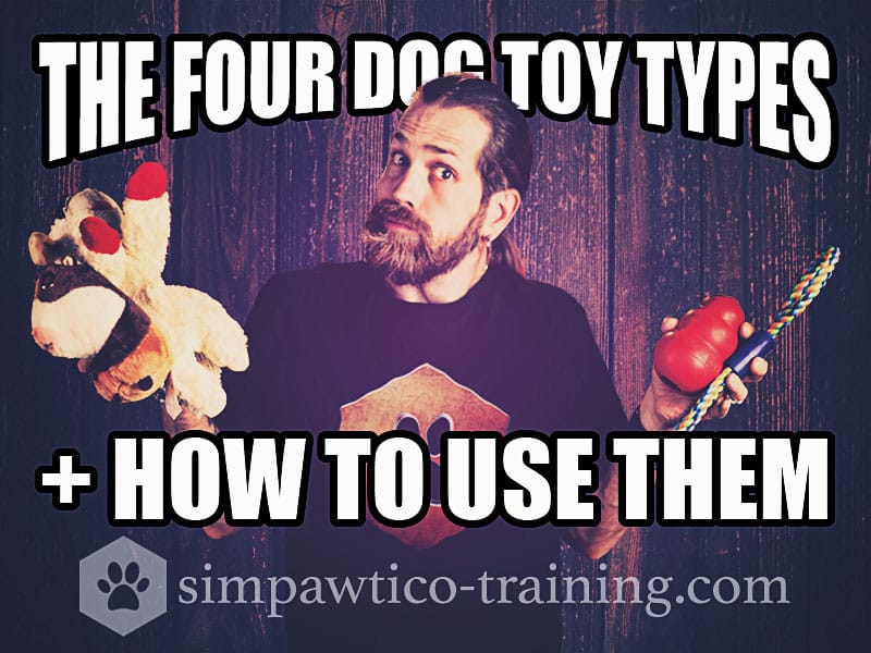 Dog Toys – the Four Types and How to Use Them