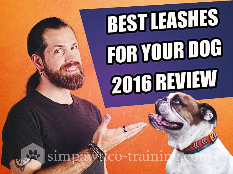 Best Dog Leash – Leash Review and Roundup (2016)