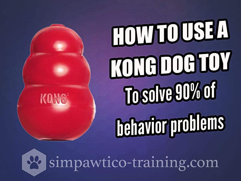 How to Use Kong Toys to Help Enrich Your Dog’s Life (And Improve Behavior)