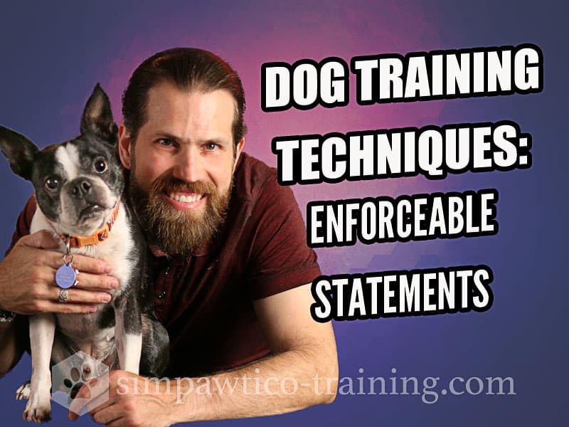 Dog Training Tips – Using Enforceable Statements