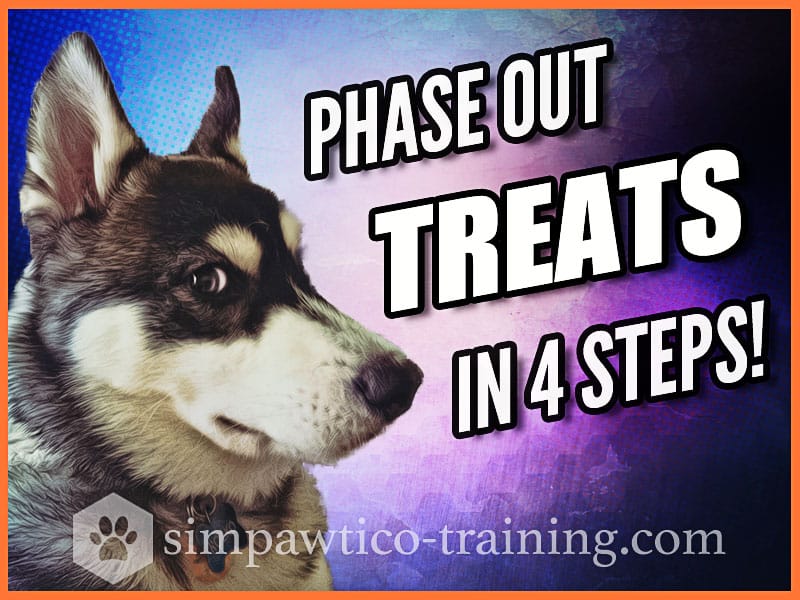 Get Your Dog to Listen – Fade Lures, Phase Out Treats, and Improve
