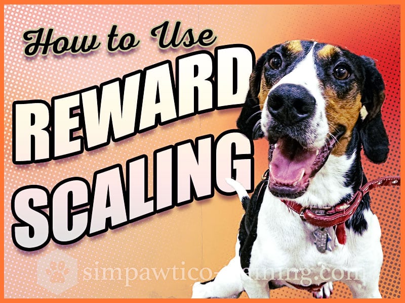 How to Use Reward Scaling to Teach Your Dog to Listen