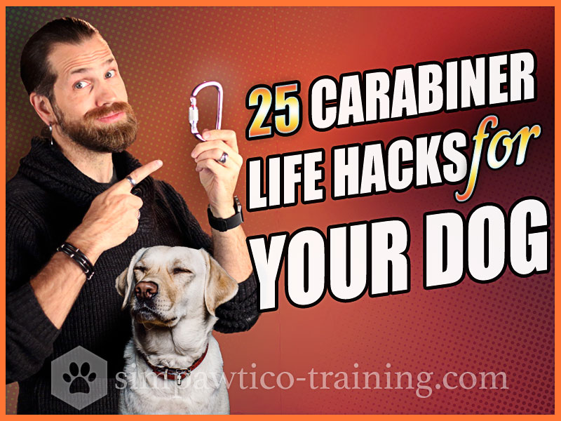 25 Essential Life Hacks for Your Dog with Carabiners