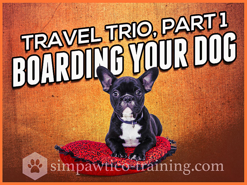 Dog Boarding – Holiday Pet Travel (1 of 3)