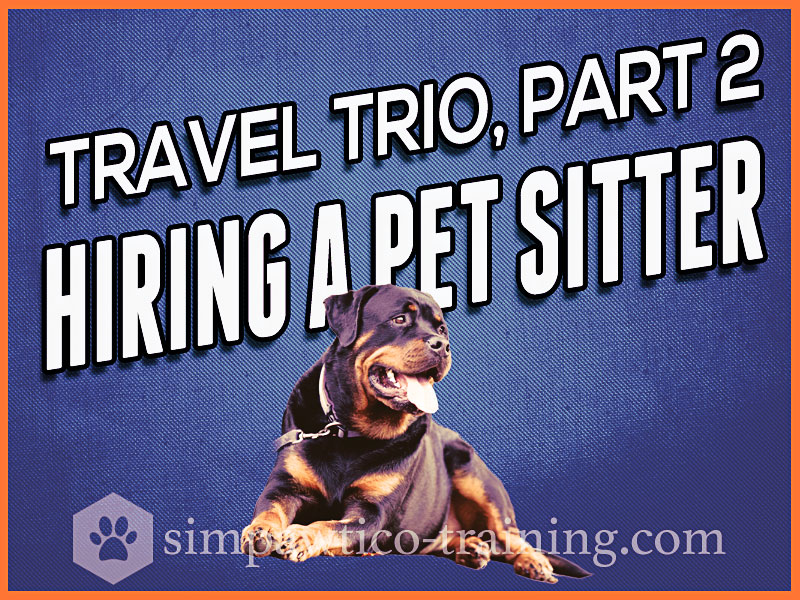 Find a Pet Sitter – Holiday Travel (2 of 3)