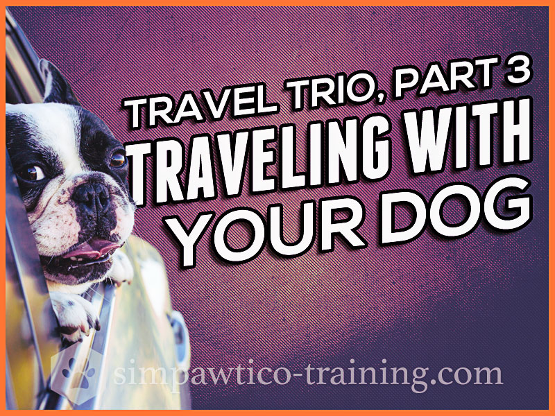 Travel with your Dog – Holiday Travel (3 of 3)