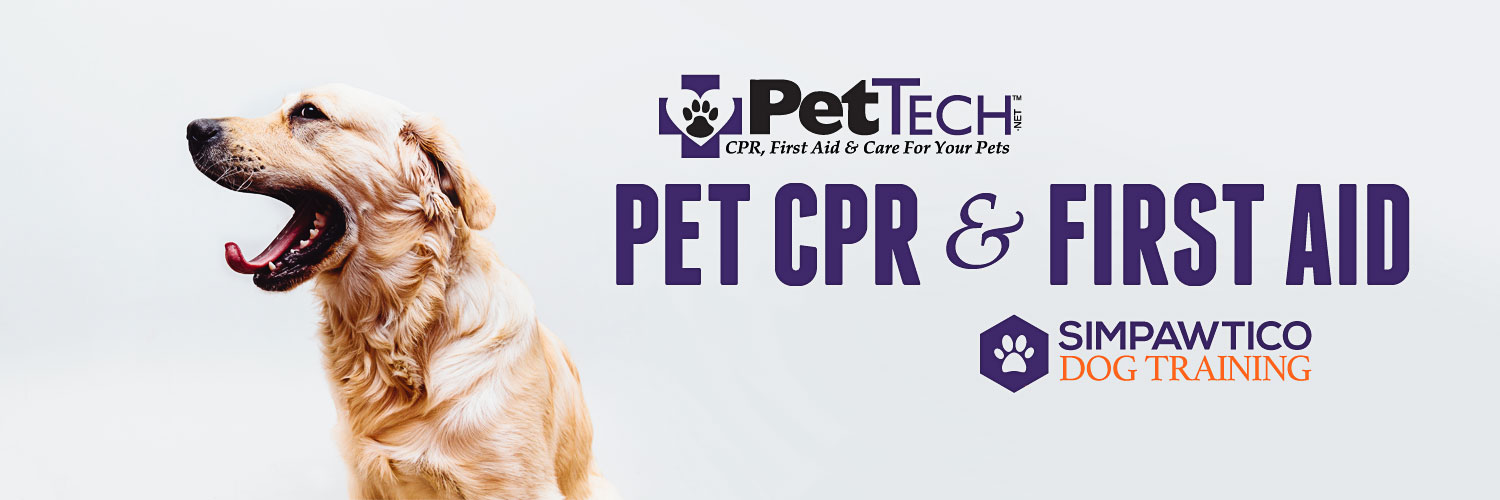 Simpawtico Dog Training Pet CPR and First Aid - Simpawtico Dog Training