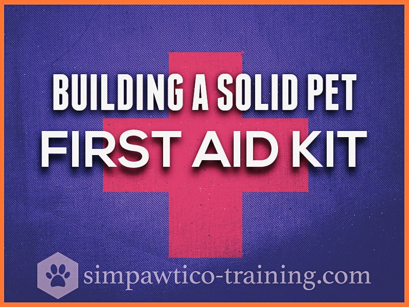 Pet First Aid Kit – What to Put in It