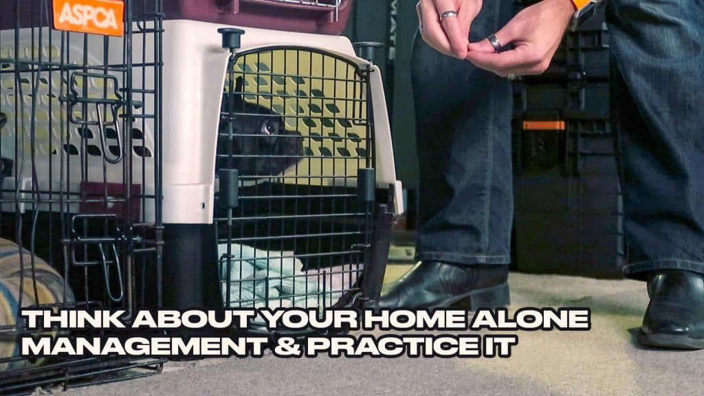 A dog in a crate getting treats