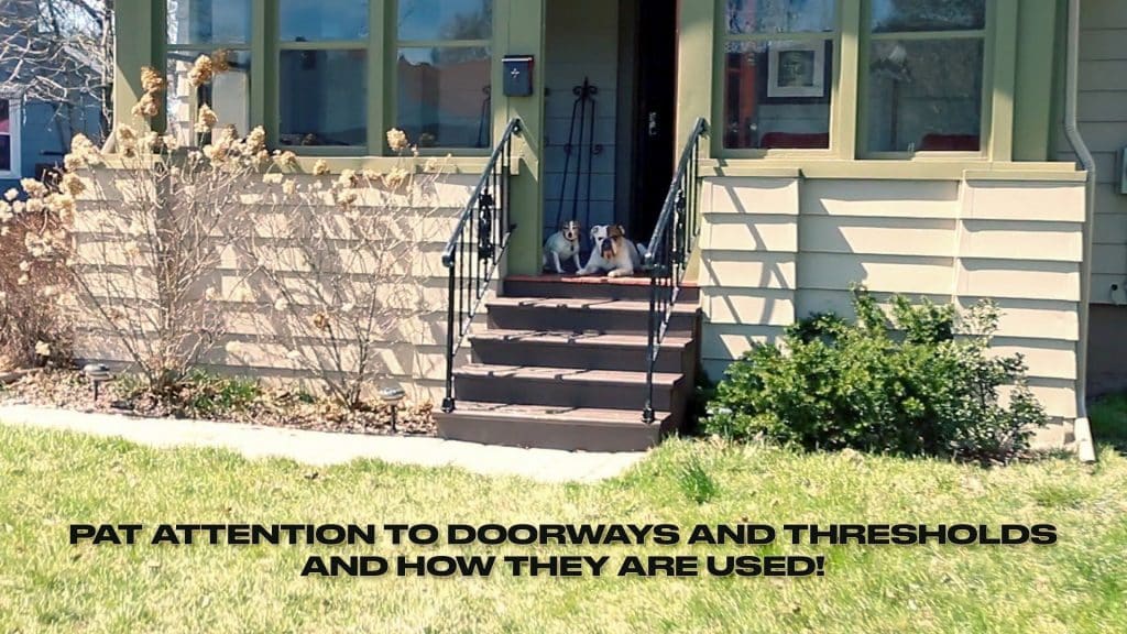 Two dogs sitting in an open front door.
