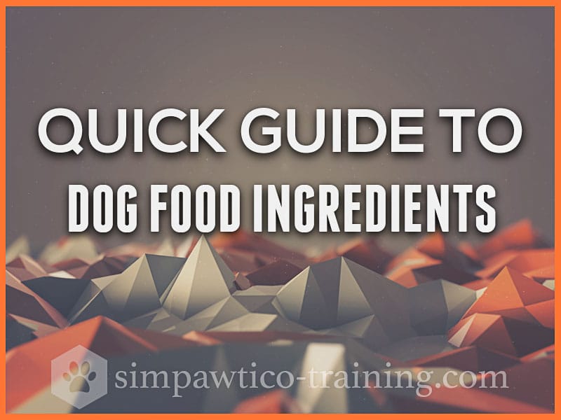 Quick Guide to Dog Food Ingredients