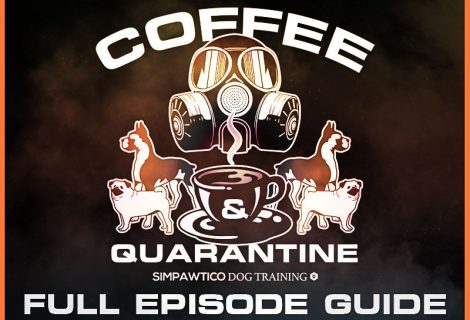 Coffee & Quarantine Full Episode List