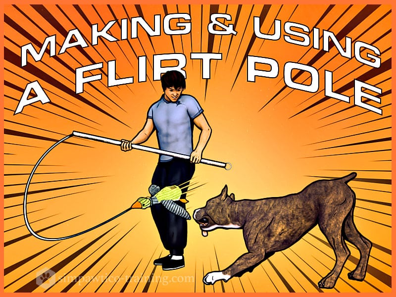 How to Make & Use a Flirt Pole (a Must for Energetic Dogs!)