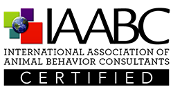 IAABC certified logo