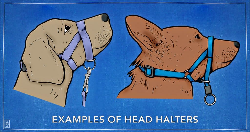 Visual illustrations of head halters for a dog.