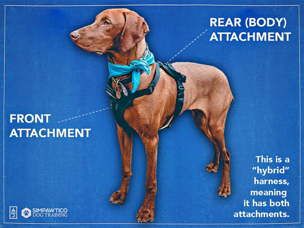 Labeled photo of a hybrid harness