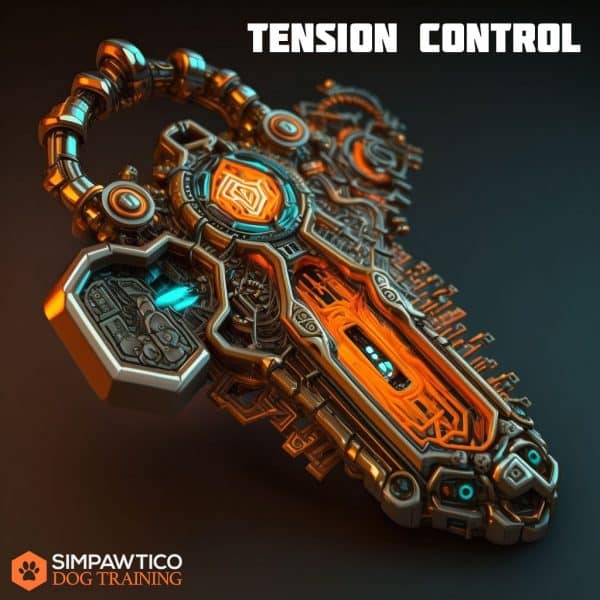 cyberpunk key graphic for the Tension Control key