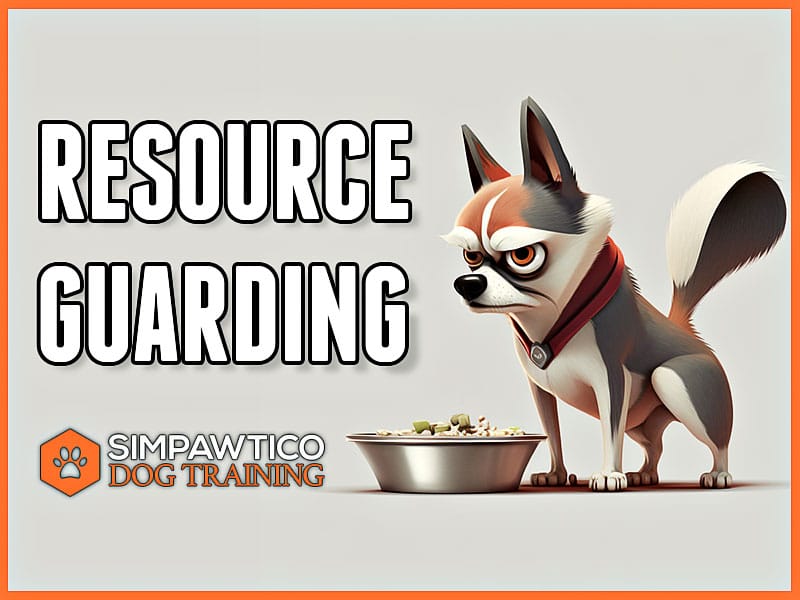 Understanding Resource Guarding in Dogs: A Guide for Pet Owners