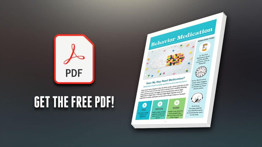 A grpahic for the free PDF download