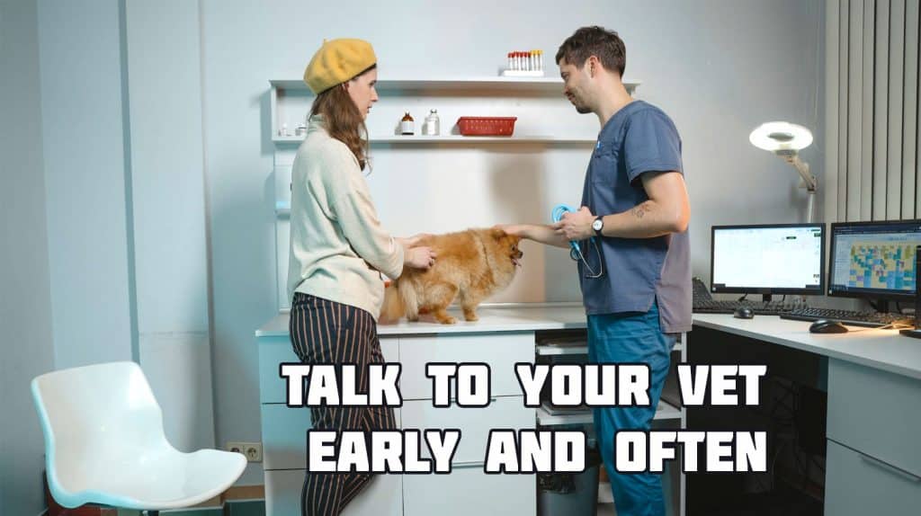 A woman with her pomeranian talks with her vet about behavioral medication