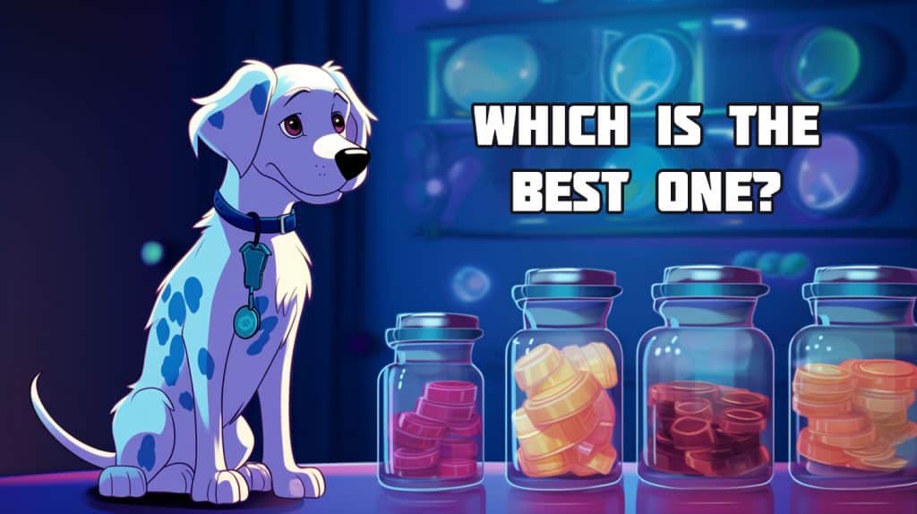 A cute dog looking at different behavioral drugs
