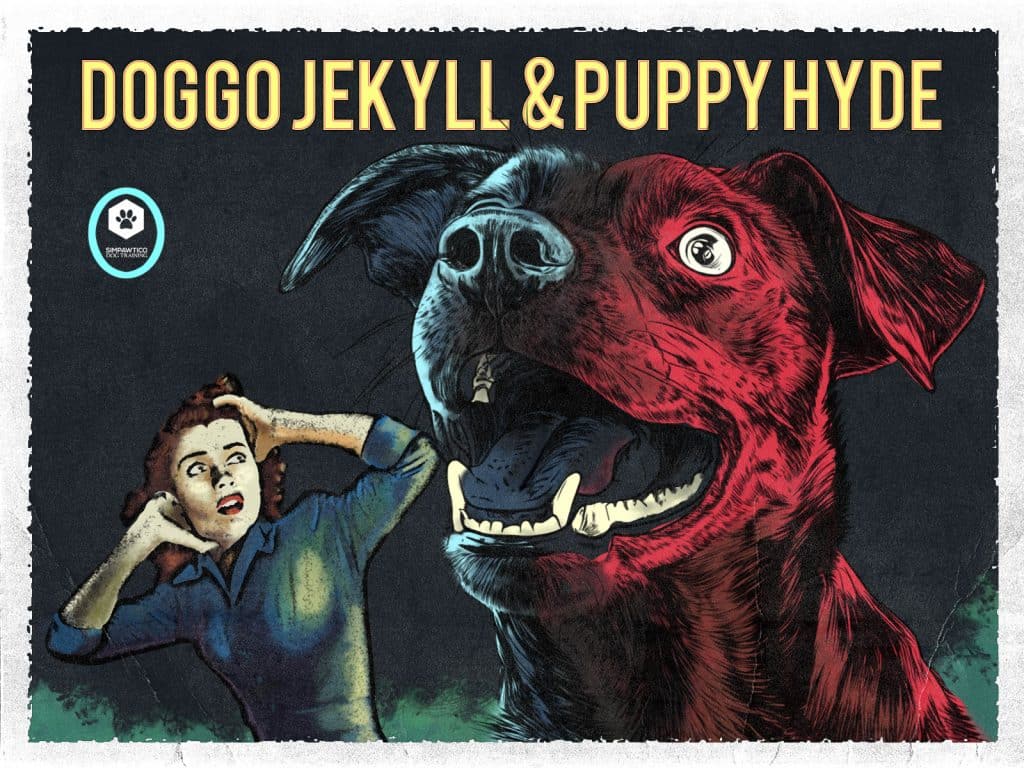 A vintage horror inspired graphic of a young dog frightening his owner